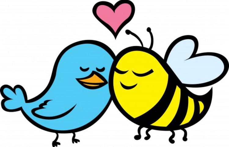  It’s Time For Birds And Birds, AND Bees And Bees Image